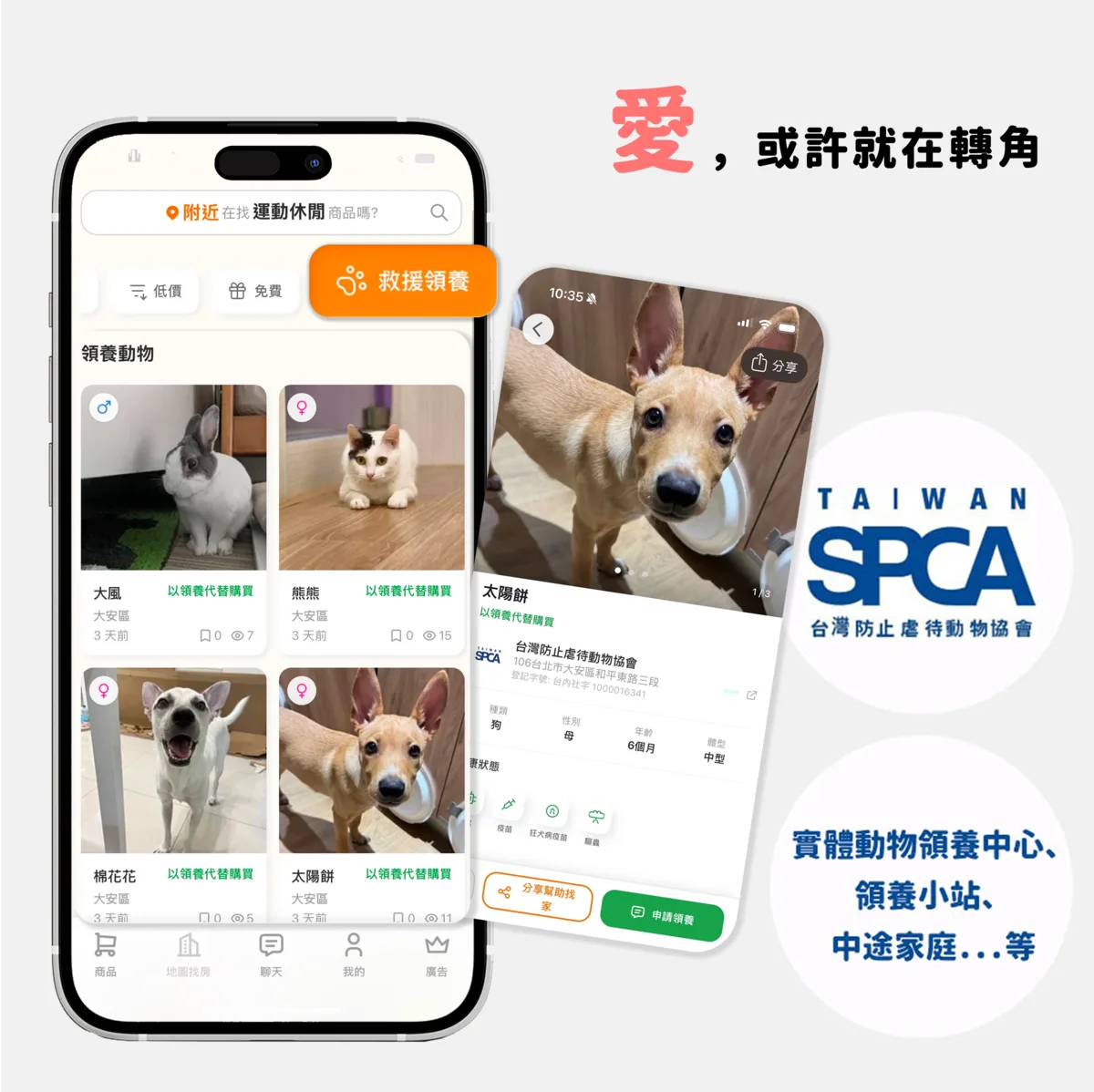 二手吐司 App 的領養頁面，搭配 TSPCA 台灣防止虐待動物協會標誌與待領養的狗狗
